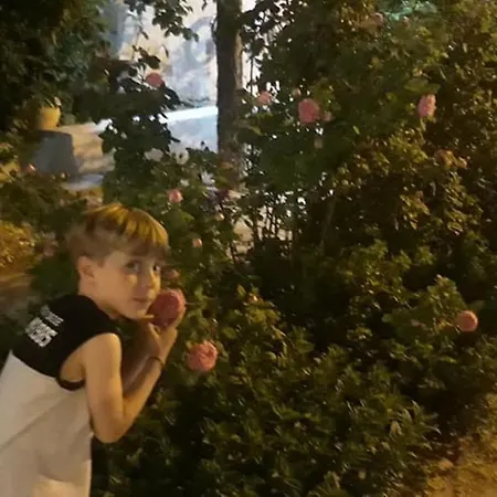 Affittacamere Ipekyolu Garden