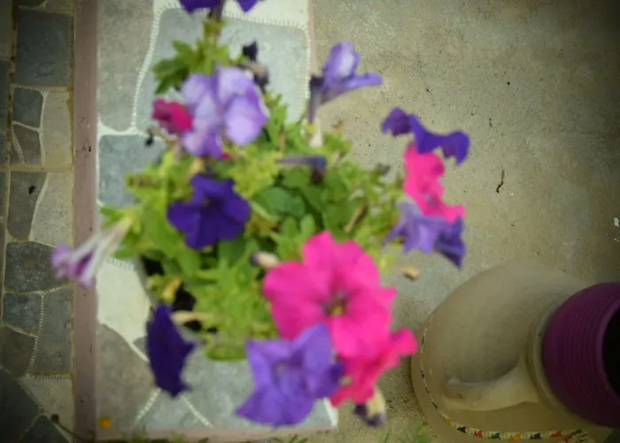 Ipekyolu Garden بيت ضيافة 4*