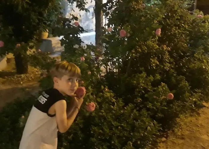 Pensión Ipekyolu Garden